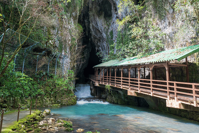 Yamaguchi Private Vehicle Service with Restaurant Reservation