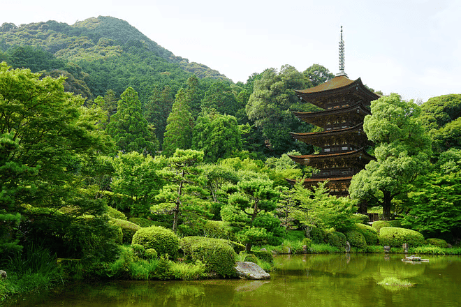 Yamaguchi Private Vehicle Service with Restaurant Reservation